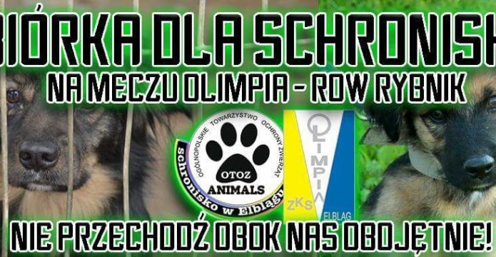 Zbiórka dla schroniska - edycja 2017