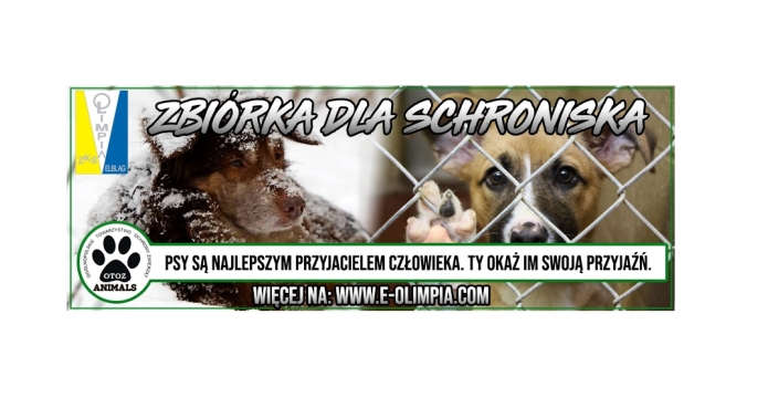 KIBICE POMOGĄ ZWIERZĘTOM ZE SCHRONISKA