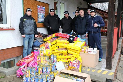 Podsumowanie zbiórki dla elbląskiego schroniska